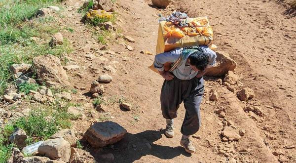 کولبری با مدرک دکترا کولبری با مدرک دکترا