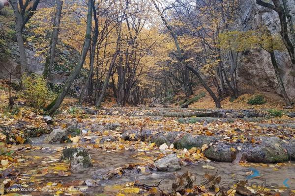 ثبت جهانی جنگل های هیرکانی، طلسمی که بالاخره شکسته شد