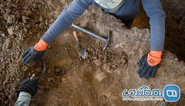 کشف 2 سفال سه هزار ساله مربوط به دوره ایلام قدیم در روستای گلمکان مرودشت