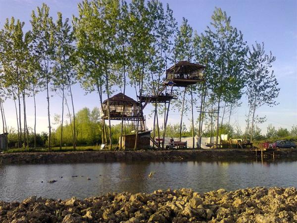 آلاچیق درختی خمام آلاچیق درختی خمام