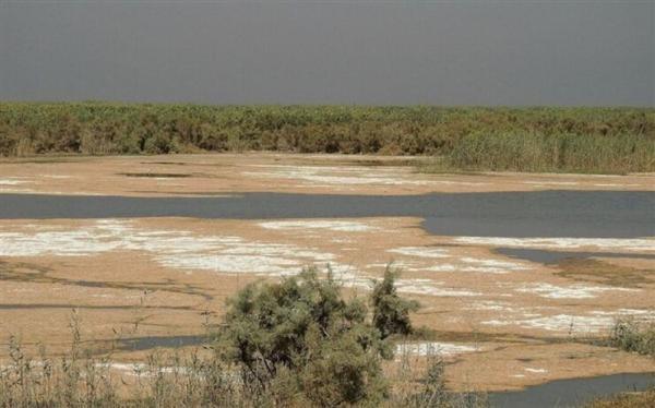 دوسوم تالاب های کشور کانون گرد و غبار شده اند ، 6 تالاب در معرض خطر شدید انقراض ، نقش تونل زاب در احیای دریاچه ارومیه