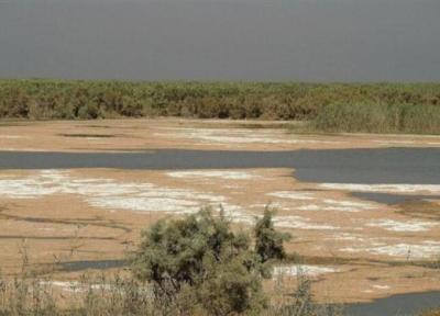 دوسوم تالاب های کشور کانون گرد و غبار شده اند ، 6 تالاب در معرض خطر شدید انقراض ، نقش تونل زاب در احیای دریاچه ارومیه