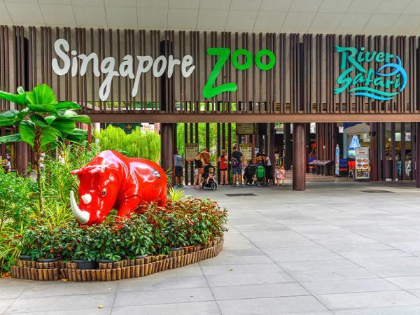 تجربه ای متفاوت در باغ وحش سنگاپور